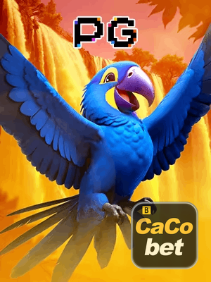 CACOBET bônus — cashback 15 por cento e níveis VIP